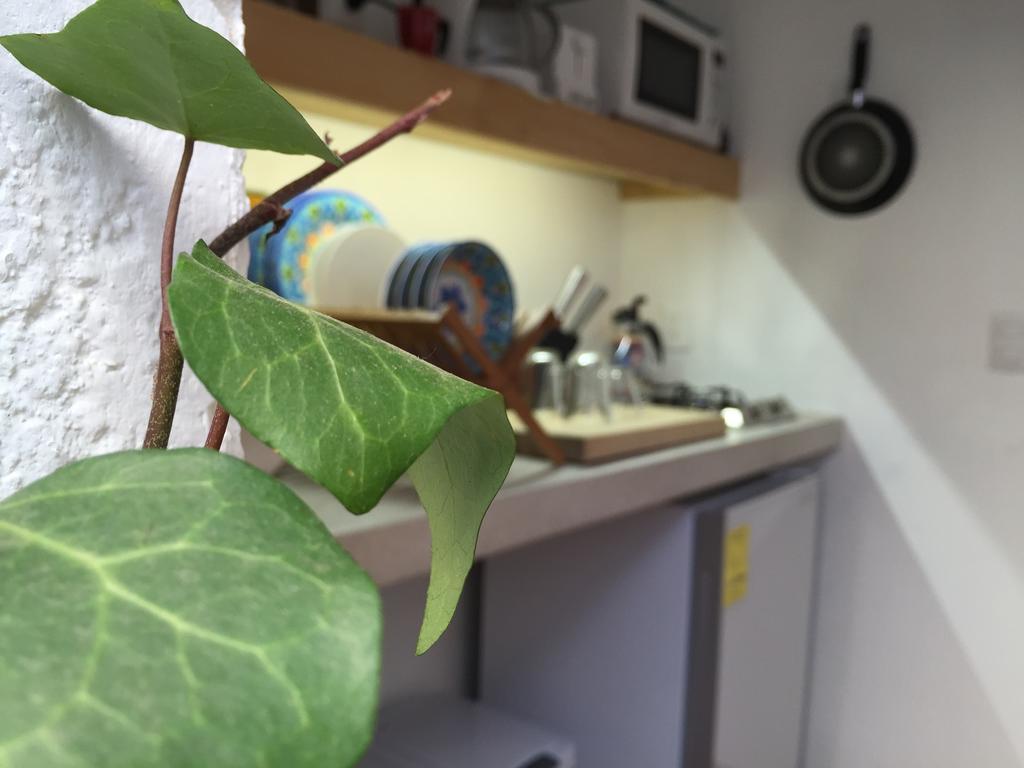 דירות מקסיקו סיטי Casa Molcajete מראה חיצוני תמונה