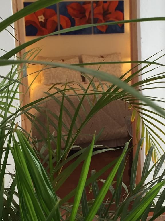 דירות מקסיקו סיטי Casa Molcajete מראה חיצוני תמונה
